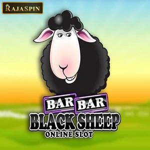 Bar Bar black sheep