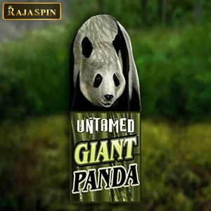 untamed giant panda