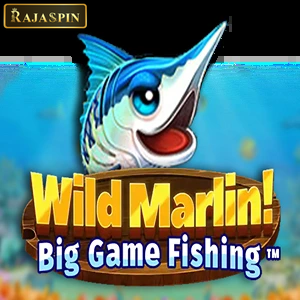 wild marlin big game fishing